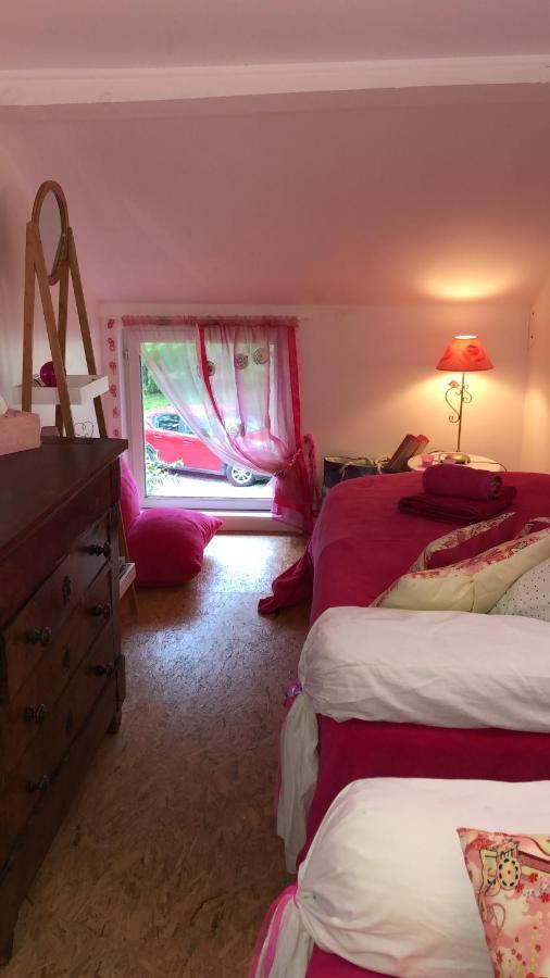 Le Loft Au-Dessus Des Pins Lägenhet Lacanau Exteriör bild