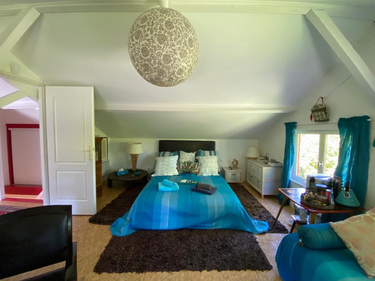 Le Loft Au-Dessus Des Pins Lägenhet Lacanau Exteriör bild