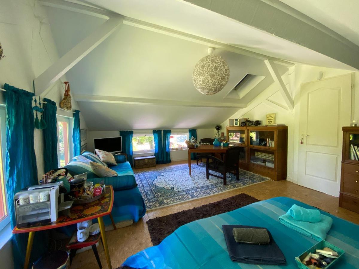 Le Loft Au-Dessus Des Pins Lägenhet Lacanau Exteriör bild