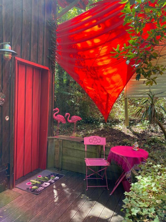Le Loft Au-Dessus Des Pins Lägenhet Lacanau Exteriör bild