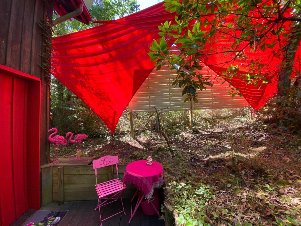Le Loft Au-Dessus Des Pins Lägenhet Lacanau Exteriör bild