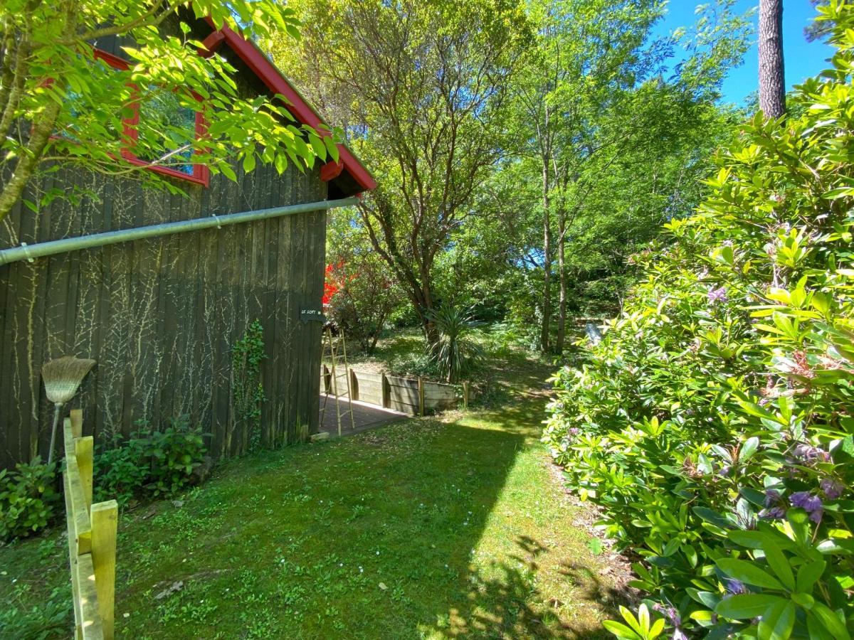 Le Loft Au-Dessus Des Pins Lägenhet Lacanau Exteriör bild