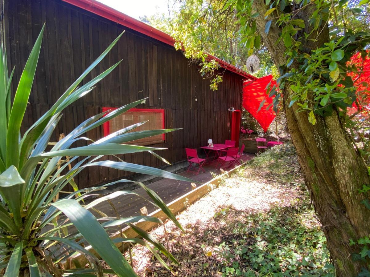 Le Loft Au-Dessus Des Pins Lägenhet Lacanau Exteriör bild