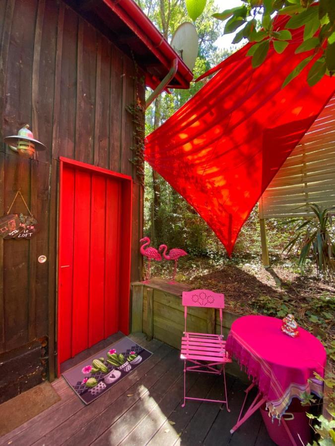 Le Loft Au-Dessus Des Pins Lägenhet Lacanau Exteriör bild