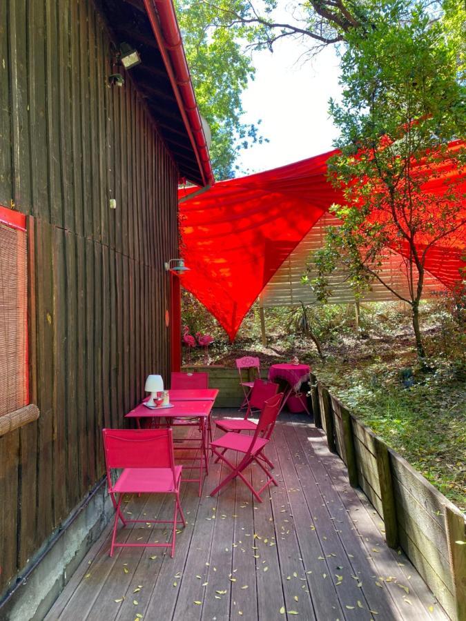 Le Loft Au-Dessus Des Pins Lägenhet Lacanau Exteriör bild