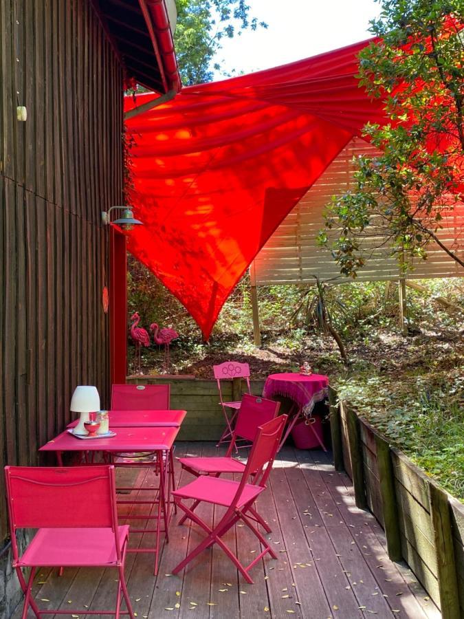 Le Loft Au-Dessus Des Pins Lägenhet Lacanau Exteriör bild