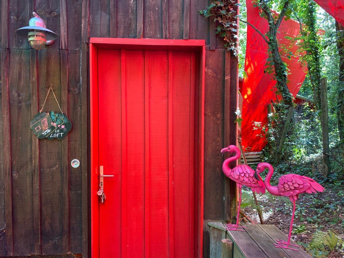 Le Loft Au-Dessus Des Pins Lägenhet Lacanau Exteriör bild