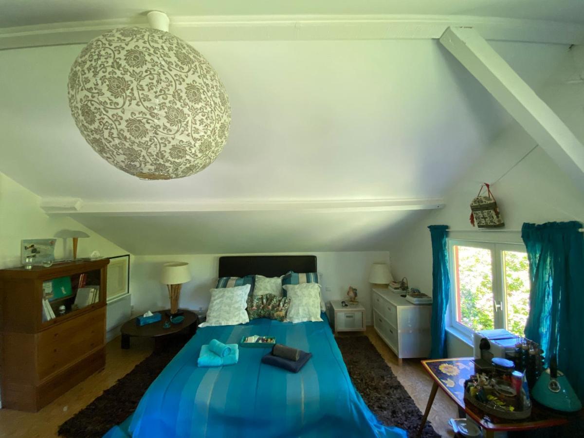 Le Loft Au-Dessus Des Pins Lägenhet Lacanau Exteriör bild
